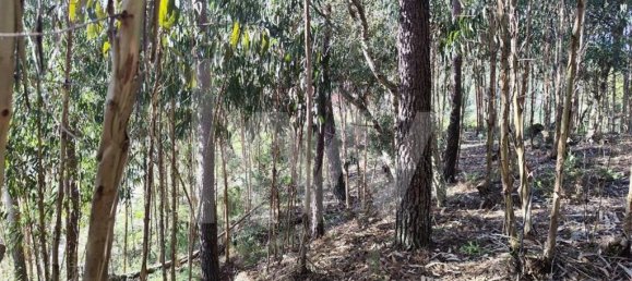 Grundstück in Mafra, Portugal 3562m², Nr. 64252 11