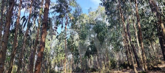 Grundstück in Mafra, Portugal 3562m², Nr. 64252 9