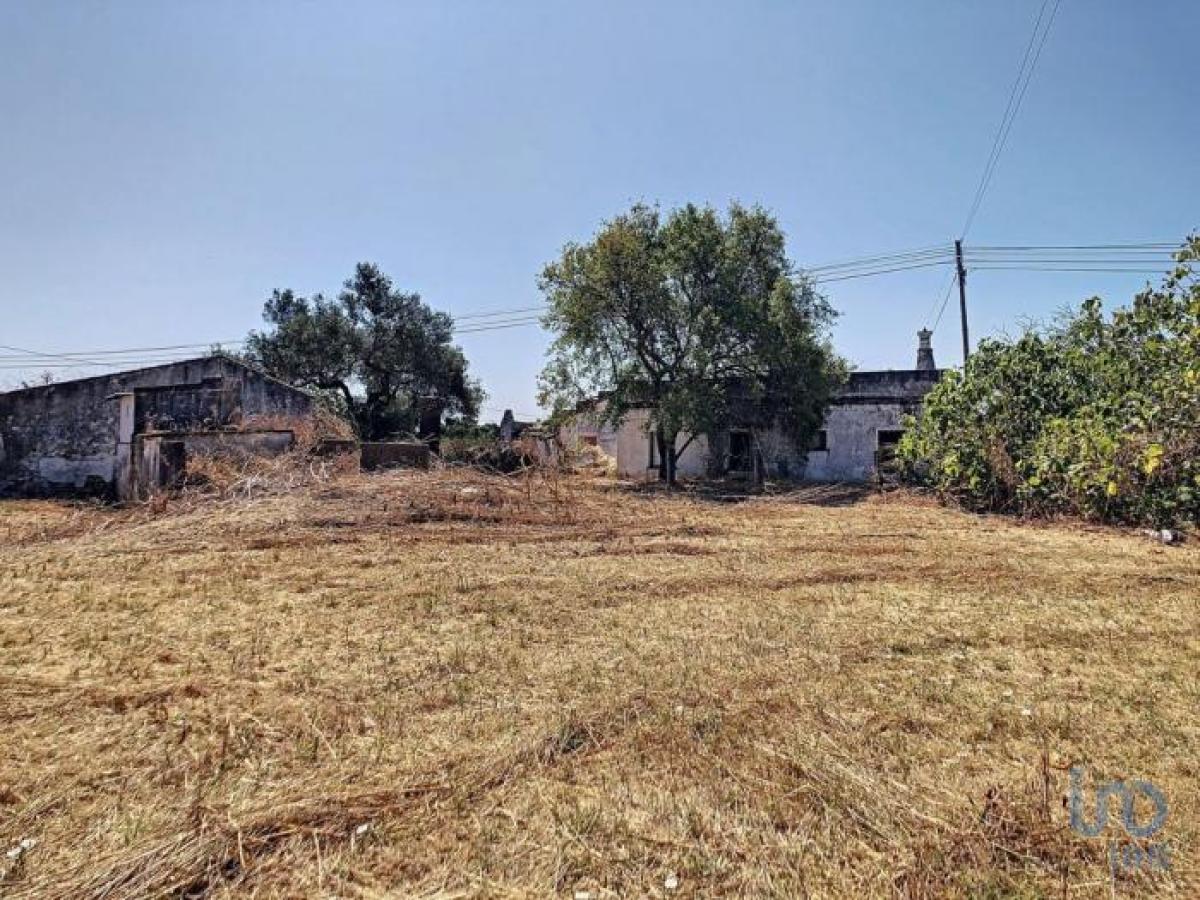 استوديو في Tavira, Portugal رقم 5156