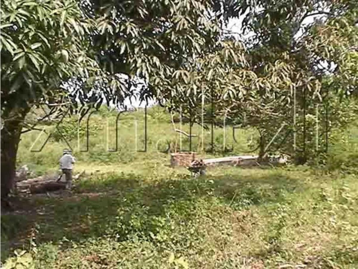 Terreno en Veracruz, Mexico No. 207005