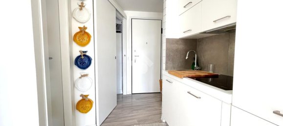 2 rooms Apartment in Desenzano del Garda, Italy No. 36690 15