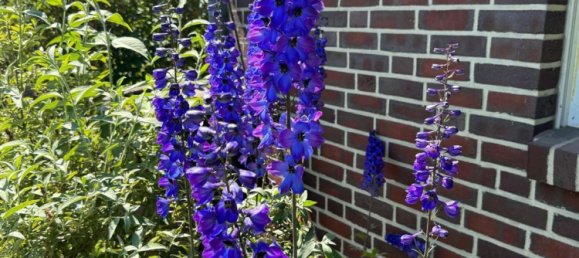 3 chambres Maison de ville à Ostprignitz-Ruppin, Germany No. 312269 19