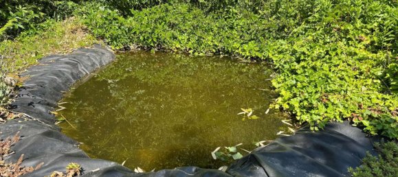 3 chambres Maison de ville à Ostprignitz-Ruppin, Germany No. 312269 18