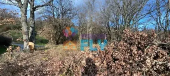 Casa T3 em Banos de Molgas, Spain N.º 140464 10