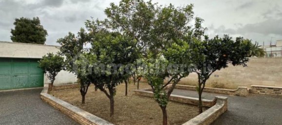 2 bedrooms Villa in Porto Cesareo, Italy No. 319281 4