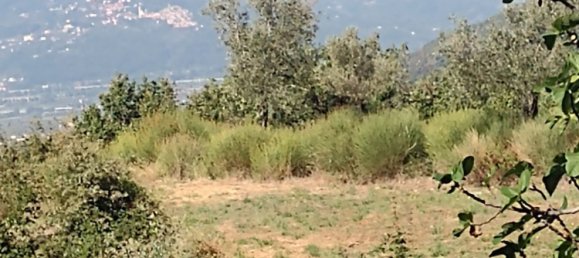 6-salle Maison à Fosdinovo, Italy No. 134400 36