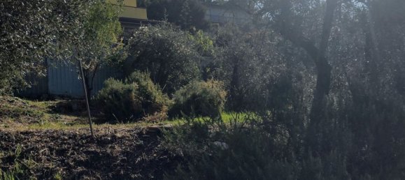 6-salle Maison à Fosdinovo, Italy No. 134400 34