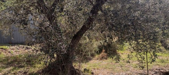 6-salle Maison à Fosdinovo, Italy No. 134400 41