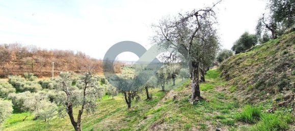 Grundstück in Brescia, Italy 2100m², Nr. 120561 6