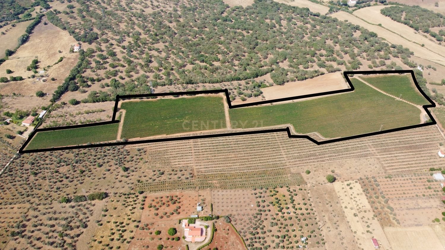  Land in Estremoz, Portugal No. 297781