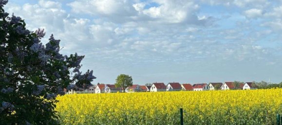 4-Zimmer Stadthaus in Leipzig, Germany, Nr. 61433 3