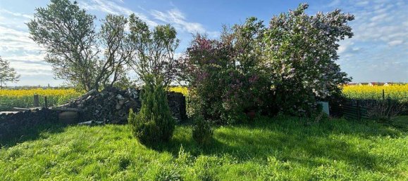 4-Zimmer Stadthaus in Leipzig, Germany, Nr. 61433 2