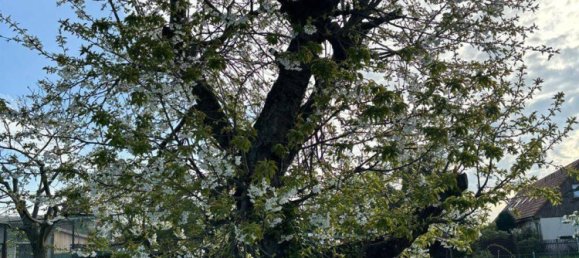 4-Zimmer Stadthaus in Leipzig, Germany, Nr. 61433 14