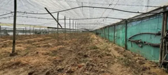 1 bedroom House in Chipiona, Spain No. 169562 6