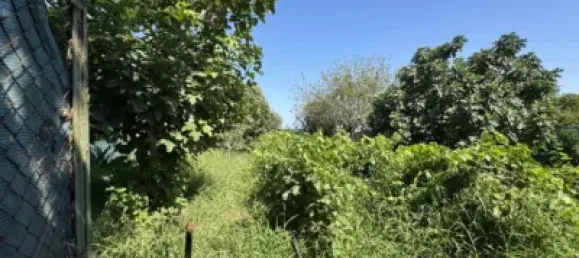 1 bedroom House in Chipiona, Spain No. 169562 28