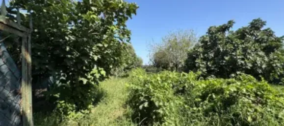 1 bedroom House in Chipiona, Spain No. 169562 29