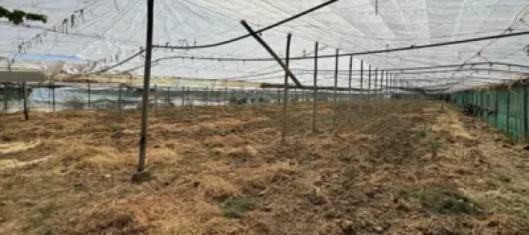 1 bedroom House in Chipiona, Spain No. 169562 32