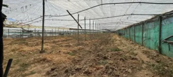 1 bedroom House in Chipiona, Spain No. 169562 7