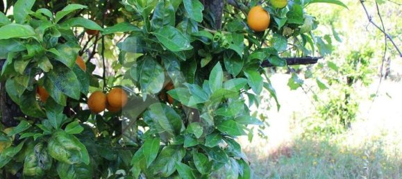 5 bedrooms Castles in Amadora, Portugal No. 125954 23