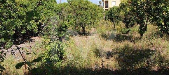 5 bedrooms Castles in Amadora, Portugal No. 125954 20