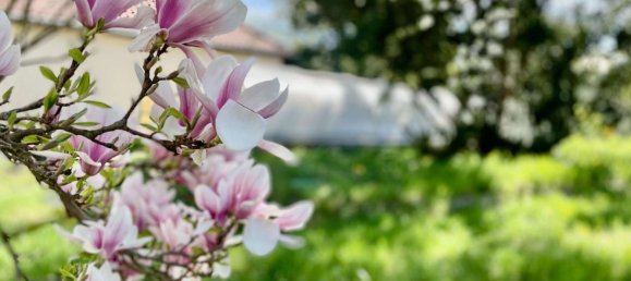 Bungalow T2 em Sachsische Schweiz-Osterzgebirge, Germany N.º 228177 2