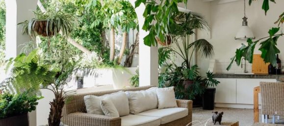 4 Schlafzimmer Villa in Sao Bras de Alportel, Portugal, Nr. 297007 4