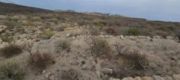  قطعة أرض في Guimar, Spain رقم 172690 2