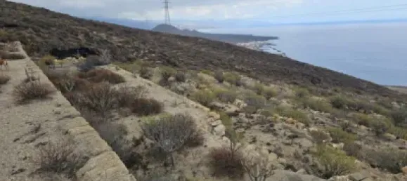  قطعة أرض في Guimar, Spain رقم 172690 33