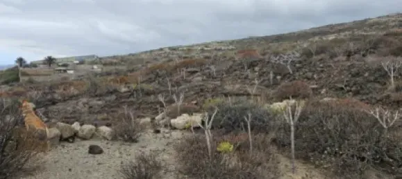  قطعة أرض في Guimar, Spain رقم 172690 18