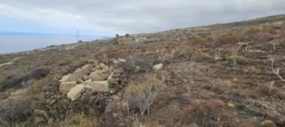  قطعة أرض في Guimar, Spain رقم 172690 12