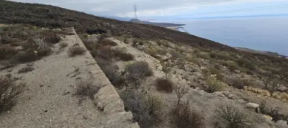  قطعة أرض في Guimar, Spain رقم 172690 35