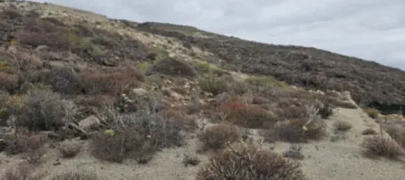  قطعة أرض في Guimar, Spain رقم 172690 3