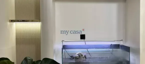 4 bedrooms Apartment in Thu Duc, Vietnam No. 8227 16