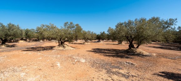 Casa de 2 dormitorios en Tarragona, Spain No. 182286 26