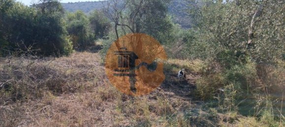 Terreno en Alcoutim, Portugal 760 m² No. 32653 8