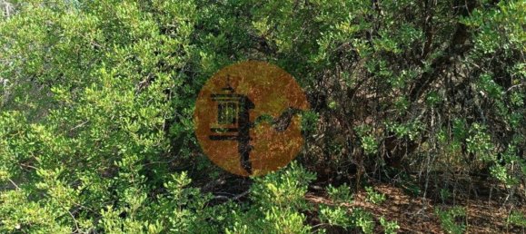 Terreno en Alcoutim, Portugal 760 m² No. 32653 24