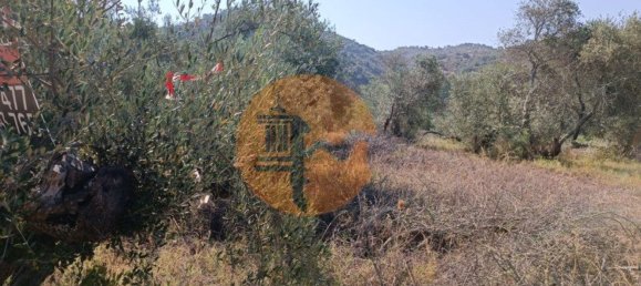 Terreno en Alcoutim, Portugal 760 m² No. 32653 23