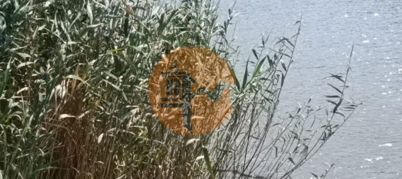 Terreno en Alcoutim, Portugal 760 m² No. 32653 3