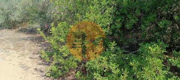 Terreno en Alcoutim, Portugal 760 m² No. 32653 22