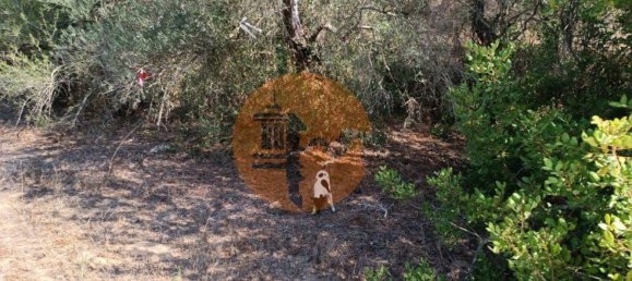 Terreno en Alcoutim, Portugal 760 m² No. 32653 11