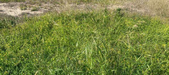 500m² Land in Alicante, Spain No. 97644 23