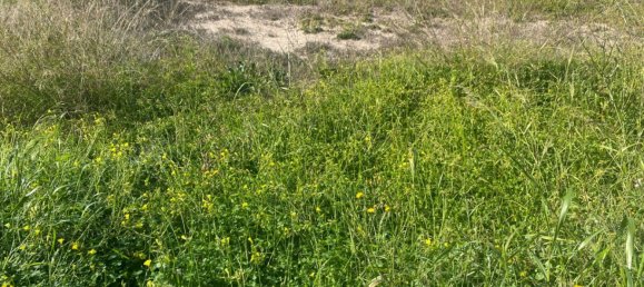 500m² Land in Alicante, Spain No. 97644 21