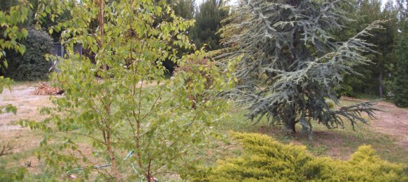 3 bedrooms House in Grottammare, Italy No. 127602 42