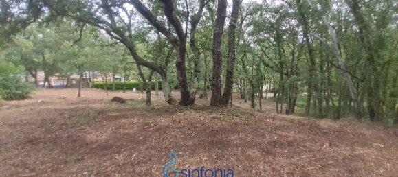 Terreno en Pougnadoresse, France No. 100032 8