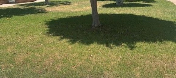 3 غرف نوم منزل ذو طابقين في Murcia, Spain رقم 189967 13