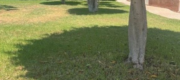 3 غرف نوم منزل ذو طابقين في Murcia, Spain رقم 189967 2