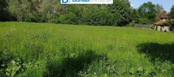 Land in Leutschach an der Weinstrasse, Austria No. 36881 2