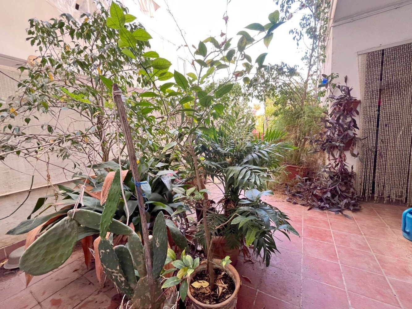 4 bedrooms Apartment in Palma de Majorca, Spain No. 248919