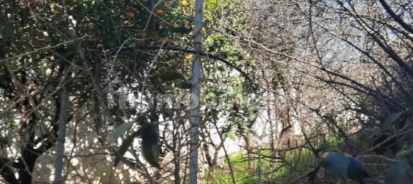 4 bedrooms Villa in Monteiasi, Italy No. 30821 4