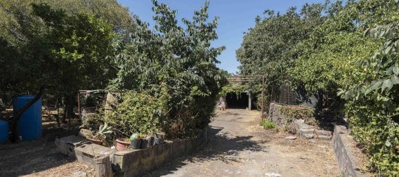 4-Zimmer Wohnung in Valverde, Italy, Nr. 293269 41